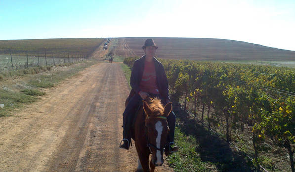 25km Horse Ride on Pumpkin