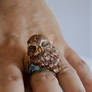 little owl clay ring