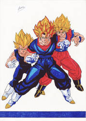 Goku/Vegeta - Dragonball Z