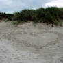 Love Beach