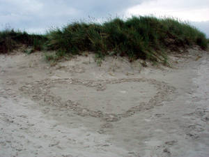 Love Beach