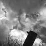 Look into the sky