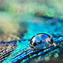 view in a drop