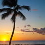 Stereotypical Hawaiian Sunset