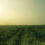 just nothing 2
