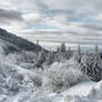 Winter stock 2