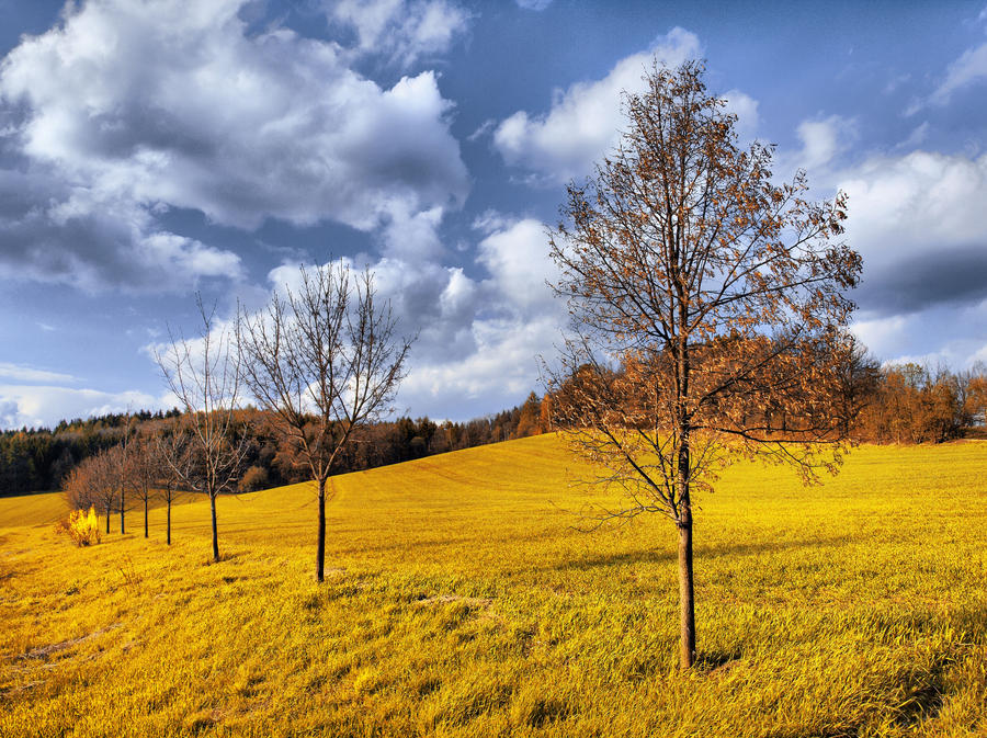 Golden field