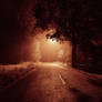 Night road