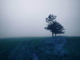 Just nothing 5