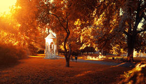 Park Panorama Stock
