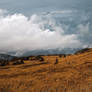 Mountains stock