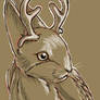 Daily Drawing Day 140 Realistic Jackalope