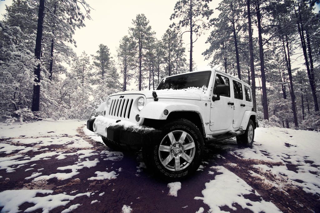 Deviantart Wranglers wrangler1 by amilehi on DeviantArt
