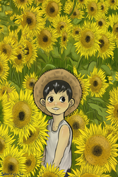 sunflowers