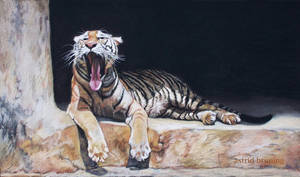 The Yawn - Boring - PASTEL