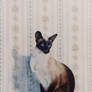 The Siamese - Acrylic Painting