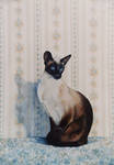 The Siamese - Acrylic Painting by AstridBruning