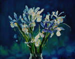 Dutch Iris's - oil painting by AstridBruning