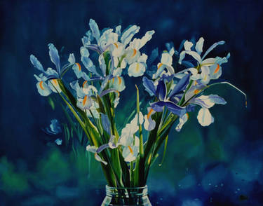 Dutch Iris's - oil painting