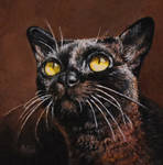 Golden Boy - Miniature Acrylic Painting by AstridBruning