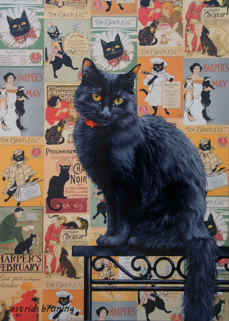 The Black Cat - PAINTING