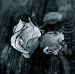 Heartace by Sceleton