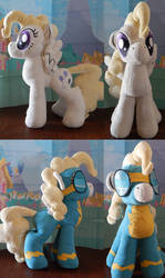 surprise ! with wonderbolt costume