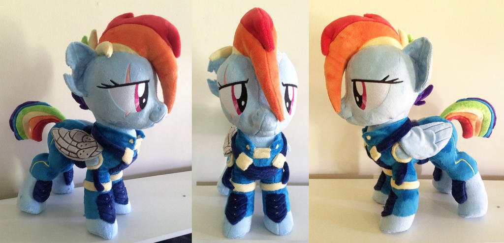 war Au rainbow dash plush