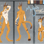 Myles Reference Sheet