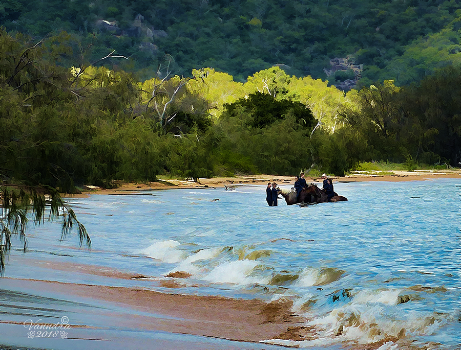 Horses at Horseshoe Bay