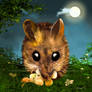 Dormouse