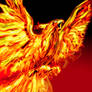 Ave Fenix