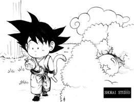 Dragon Ball 30th Anniversary