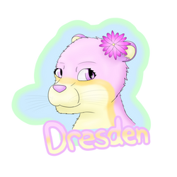 Dresden Badge