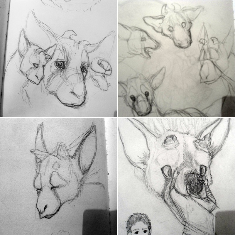 Trico sketches