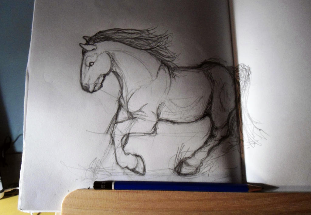 horse sketch