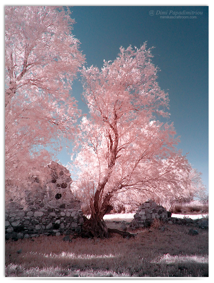 Cotton Candy -infrared