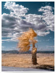 Beautiful Wind -infrared by LightSculpting