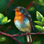 Robin