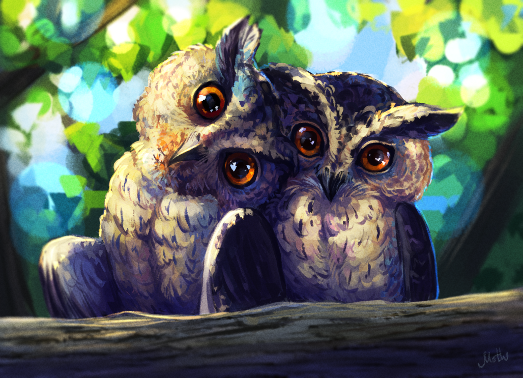 Owls!