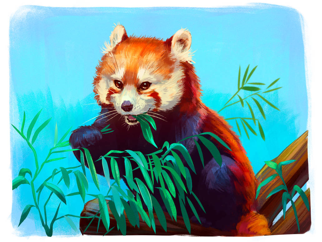 Red Panda by Mothka on DeviantArt