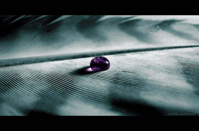 purple drop