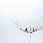 .: drop :. by all17