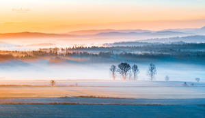 Cold January Sunrise in Poland