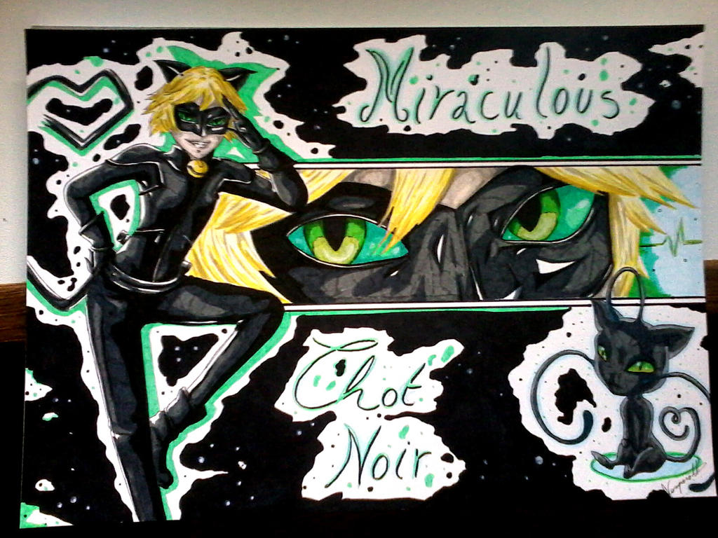 Miraculous chat noir ! by Vampirath on DeviantArt