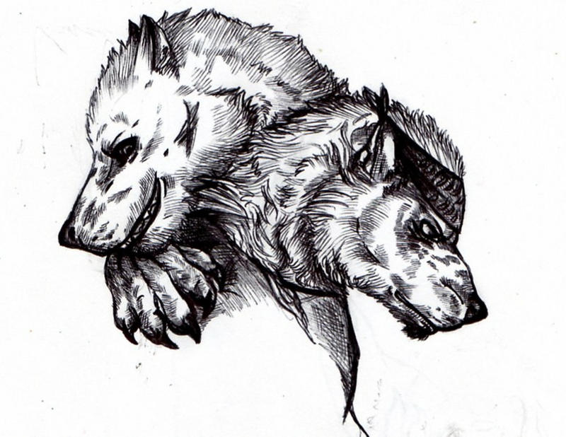 Two lycans by FuriarossaAndMimma on DeviantArt
