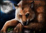 Silence on the moonlight 2 by FuriarossaAndMimma