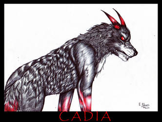 Cadia by FuriarossaAndMimma