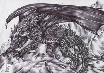 Week 25-Black Dragon by FuriarossaAndMimma