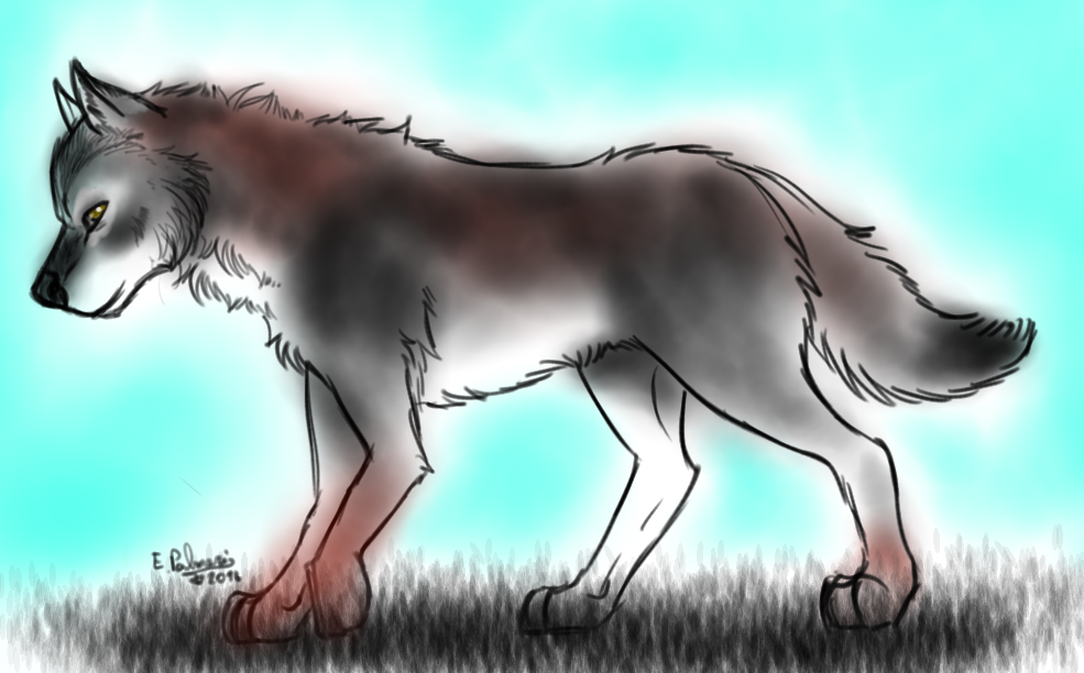 Prize sketch - Lone wolf